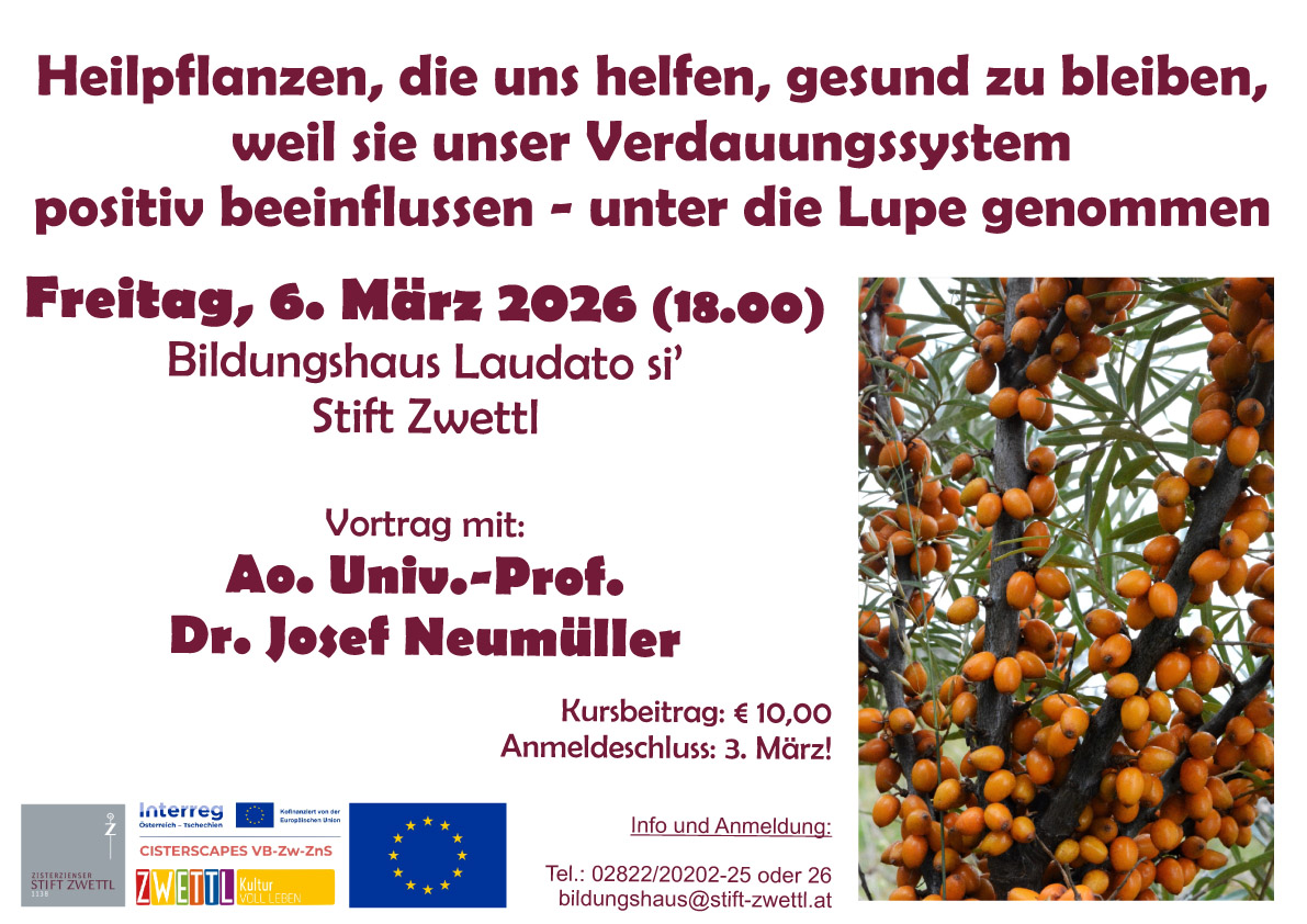 Heilpflanzen, die uns helfen, gesund zu bleiben