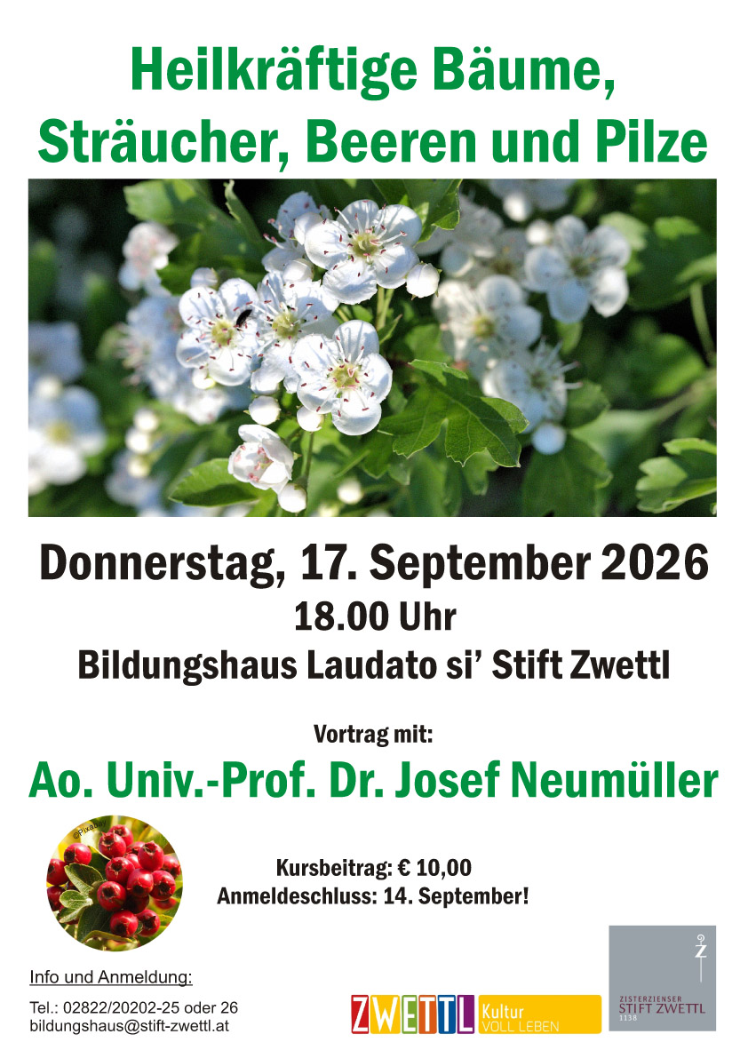 Heilkräftige Bäume, Sträucher, Beeren und Pilze